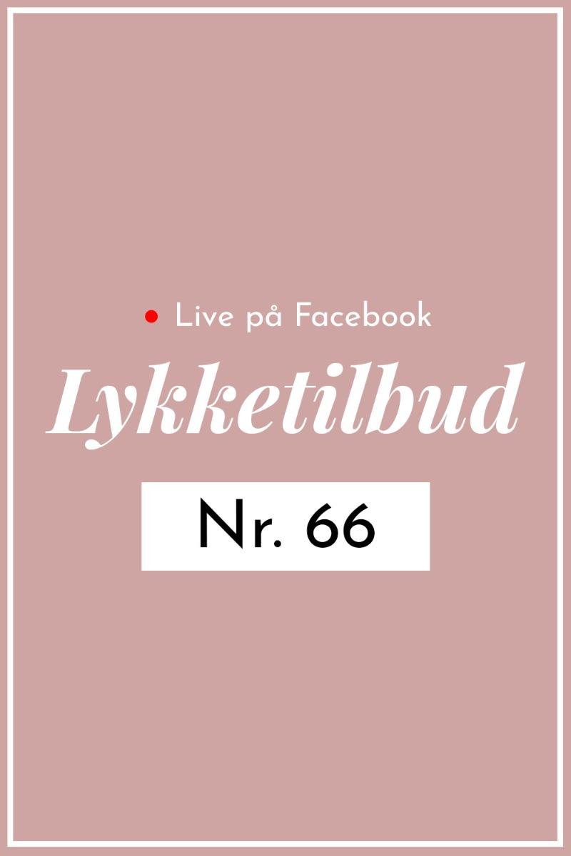 LYKKETILBUD #66 (Vest, Bluse str. L)